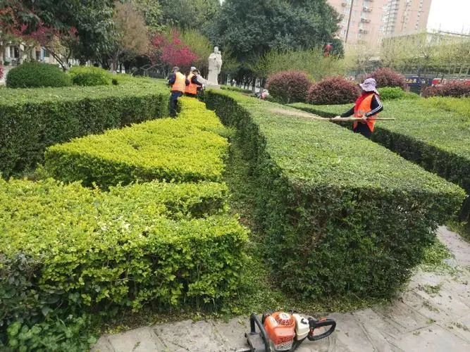 商住小区绿化工程承包方案